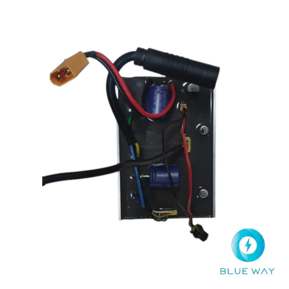 Driver board assembly (Placa de controlador) for Inmotion E20 - Bild 2