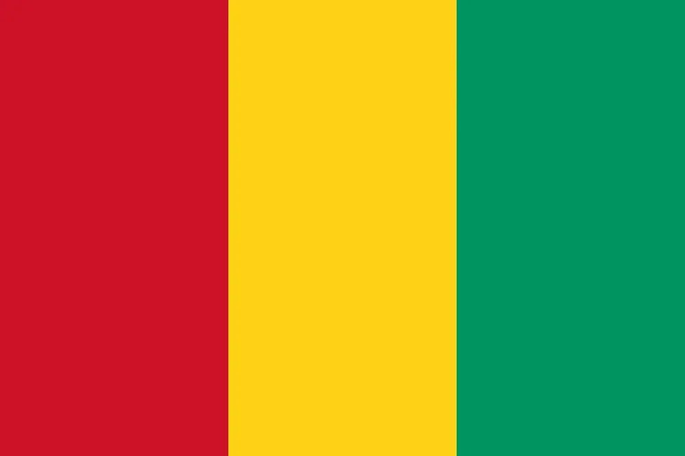 Guinea flagga