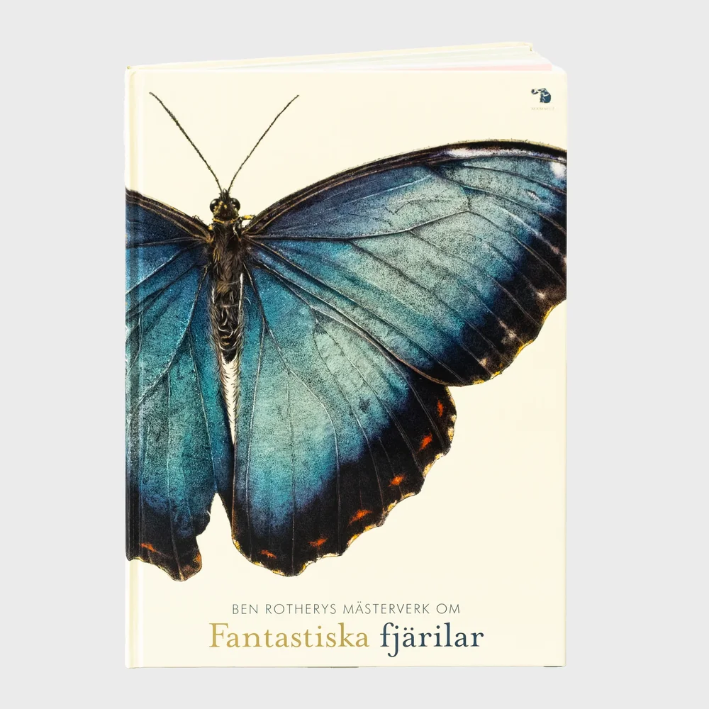 Fantastiska fjärilar Fantastiska fjärilar