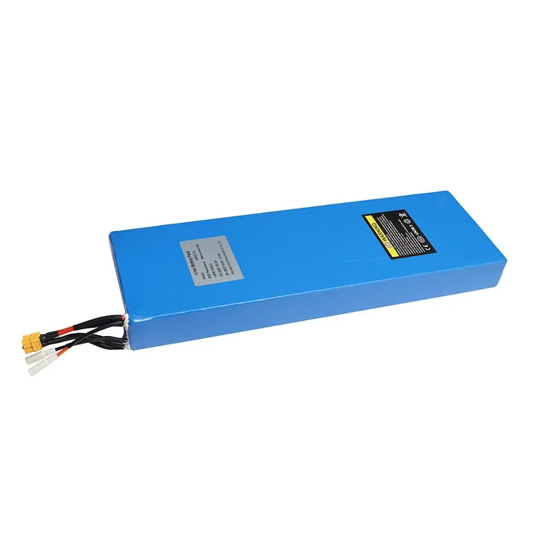 Battery (Bateria) Dualtron Aminia Dual motor - Bild 2