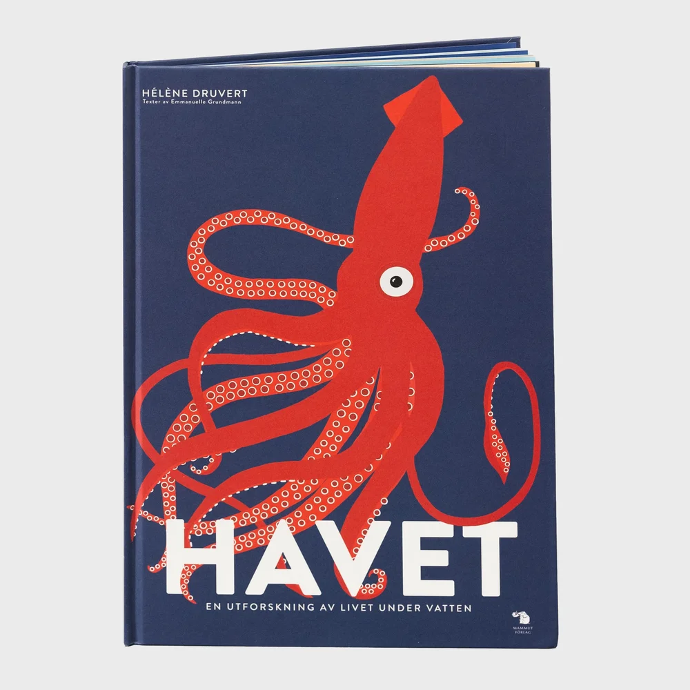 Havet Havet