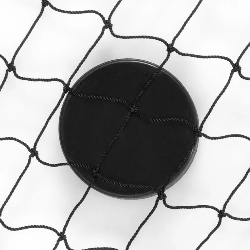 Extreme Hockey Backstop Net XL 7,5x2,6 m - Bild 2