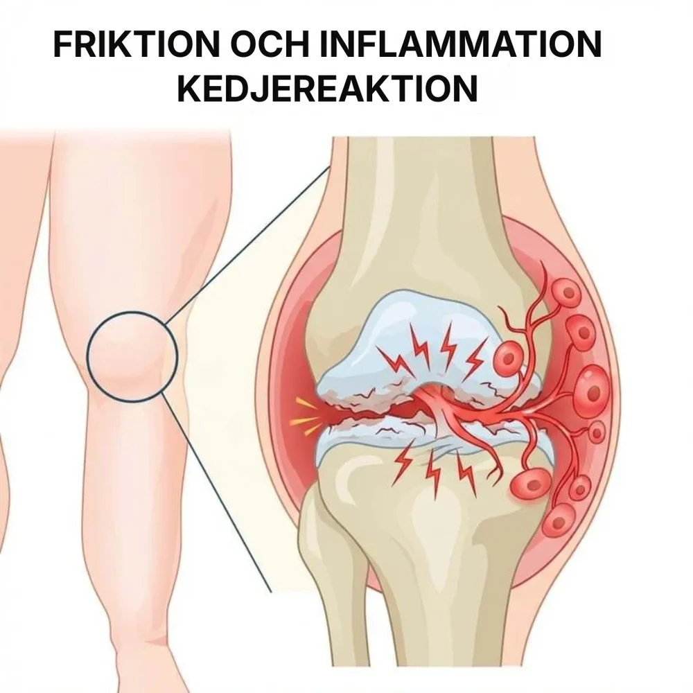 Hyalix® | Joint Molecule – Nu i form av en daglig kapsel som din kropp faktiskt kan ta upp - Bild 3