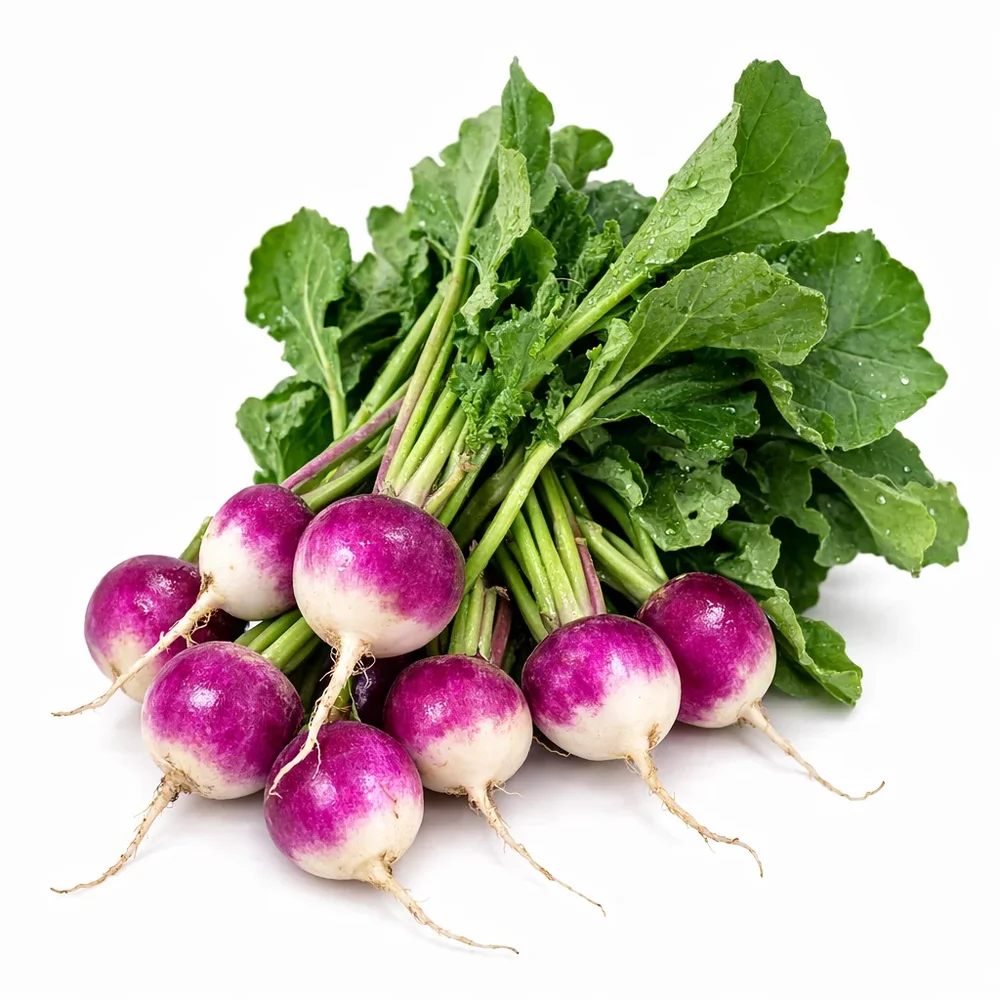 Rädisa Diana