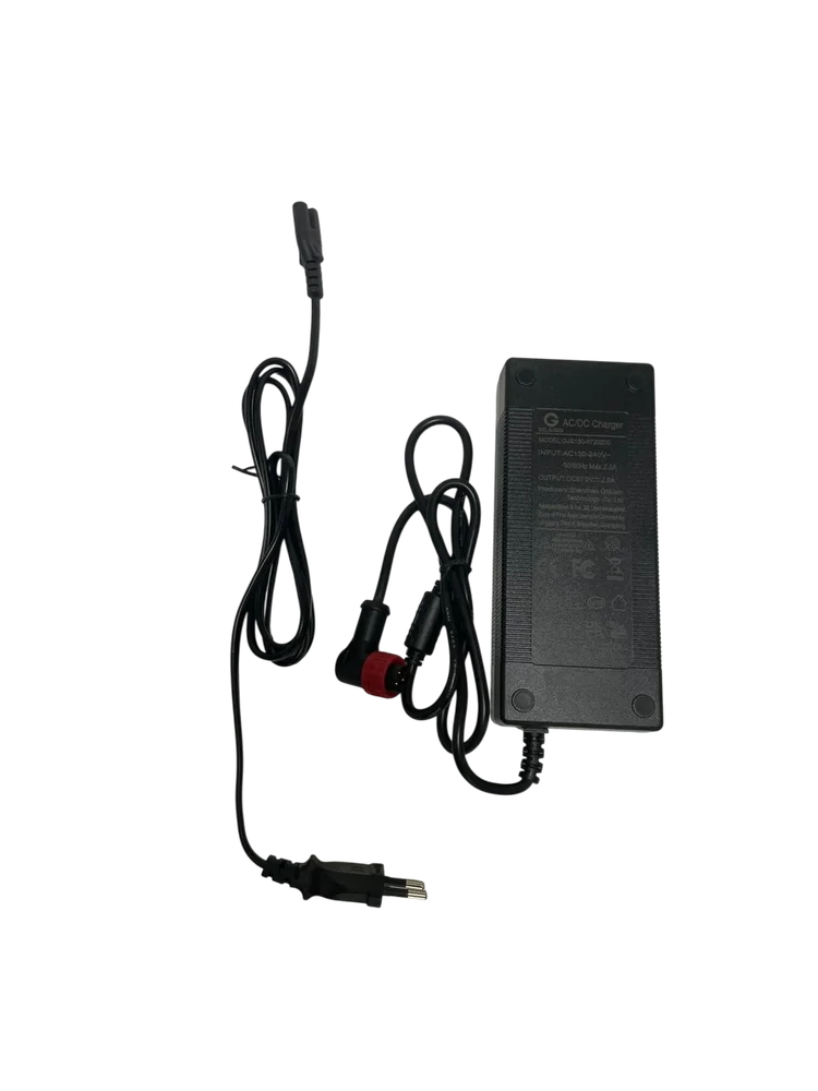 new Charger 60V Vsett 10 - Bild 2