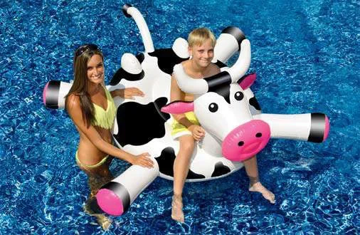 Flytleksak ko
