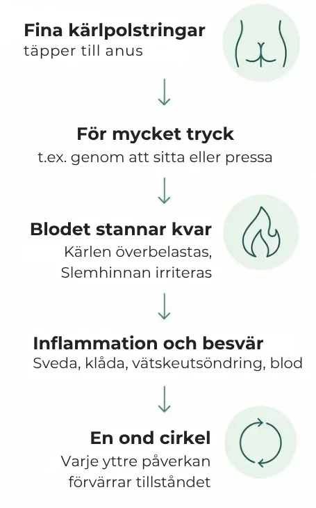 Hemovia® | Hemorrojdsalva som ger lindring redan efter 3 dagar - Bild 2