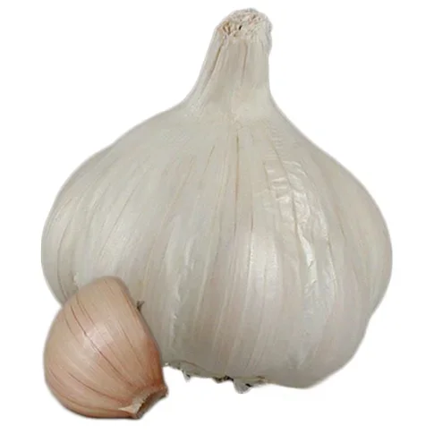 Vitlök Clédor