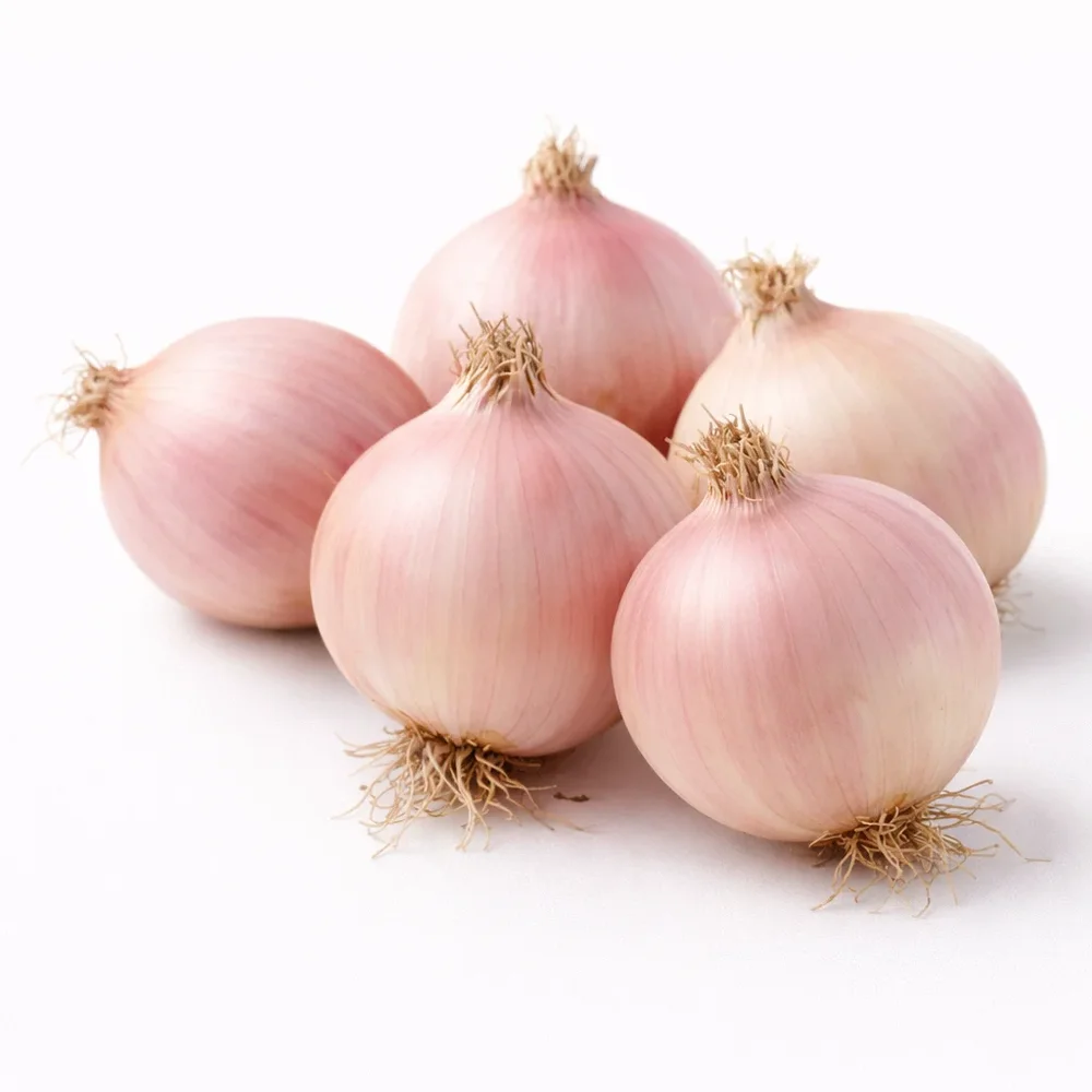 Rosélök Keravel