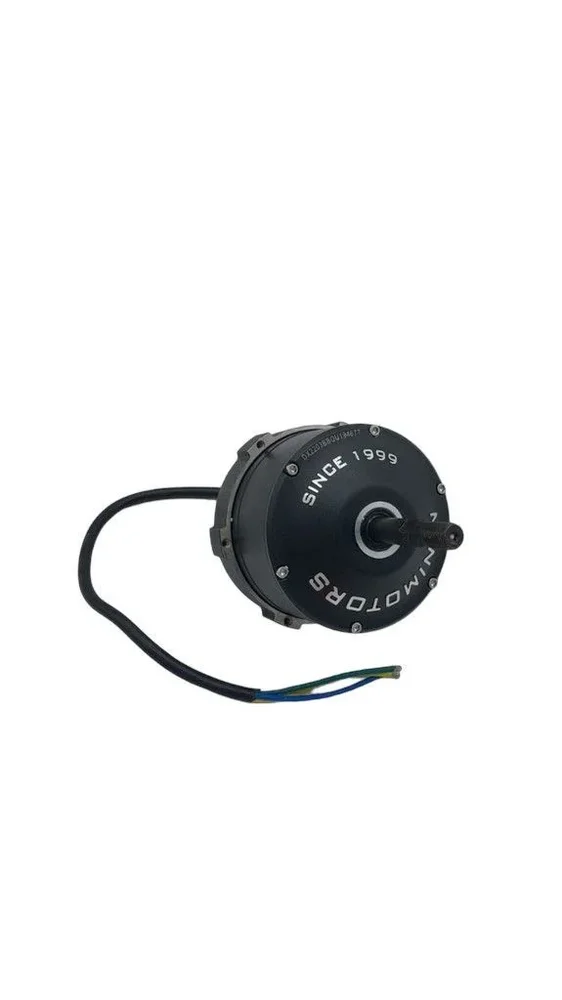 Motor (Front) Dualtron X 2 (72V)